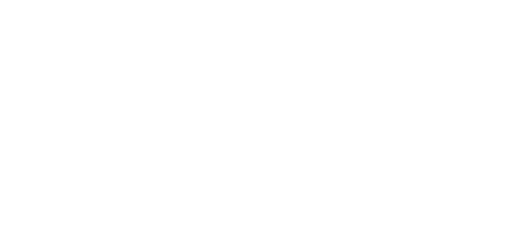 RoomPerfect Logo